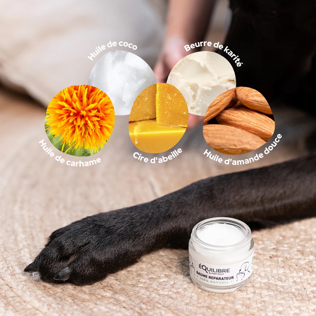 ingredients_185837bf-0e2f-4a75-b764-2be54c54c943