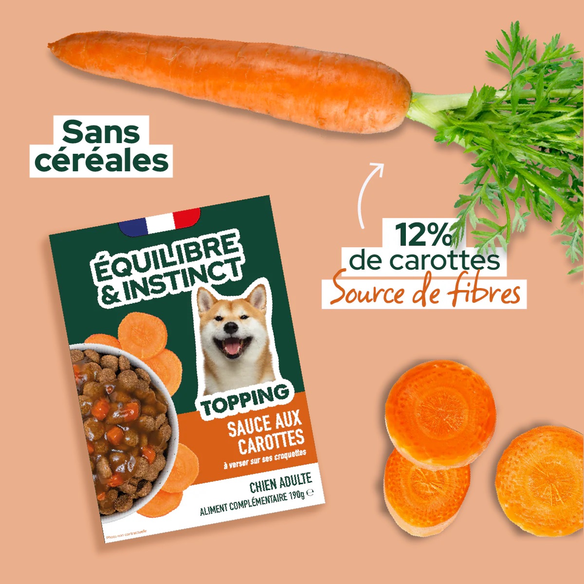 Toppingauxcarottespourchien