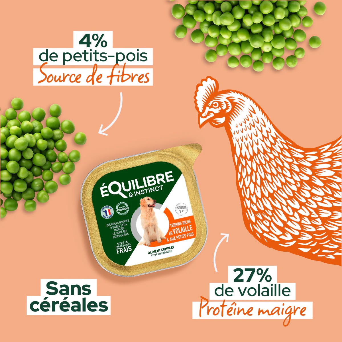 Pateericheenvolaillepourchienage