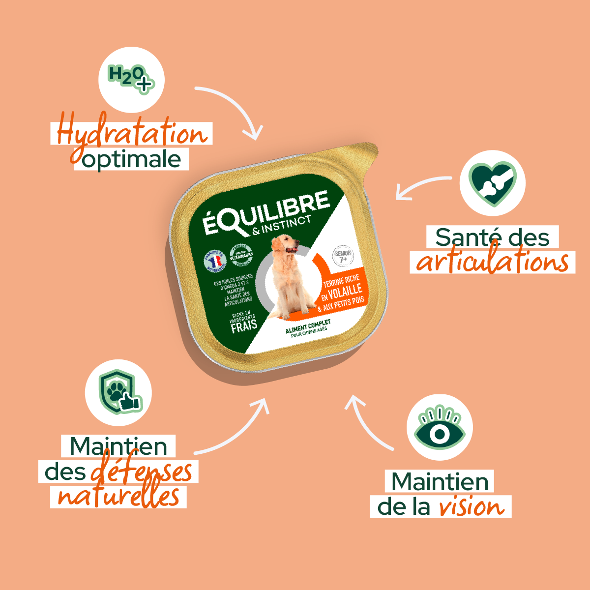 Patee_riche_en_volaille_pour_chien_age_e94d0b86-0639-4bec-9230-bec46183a61f