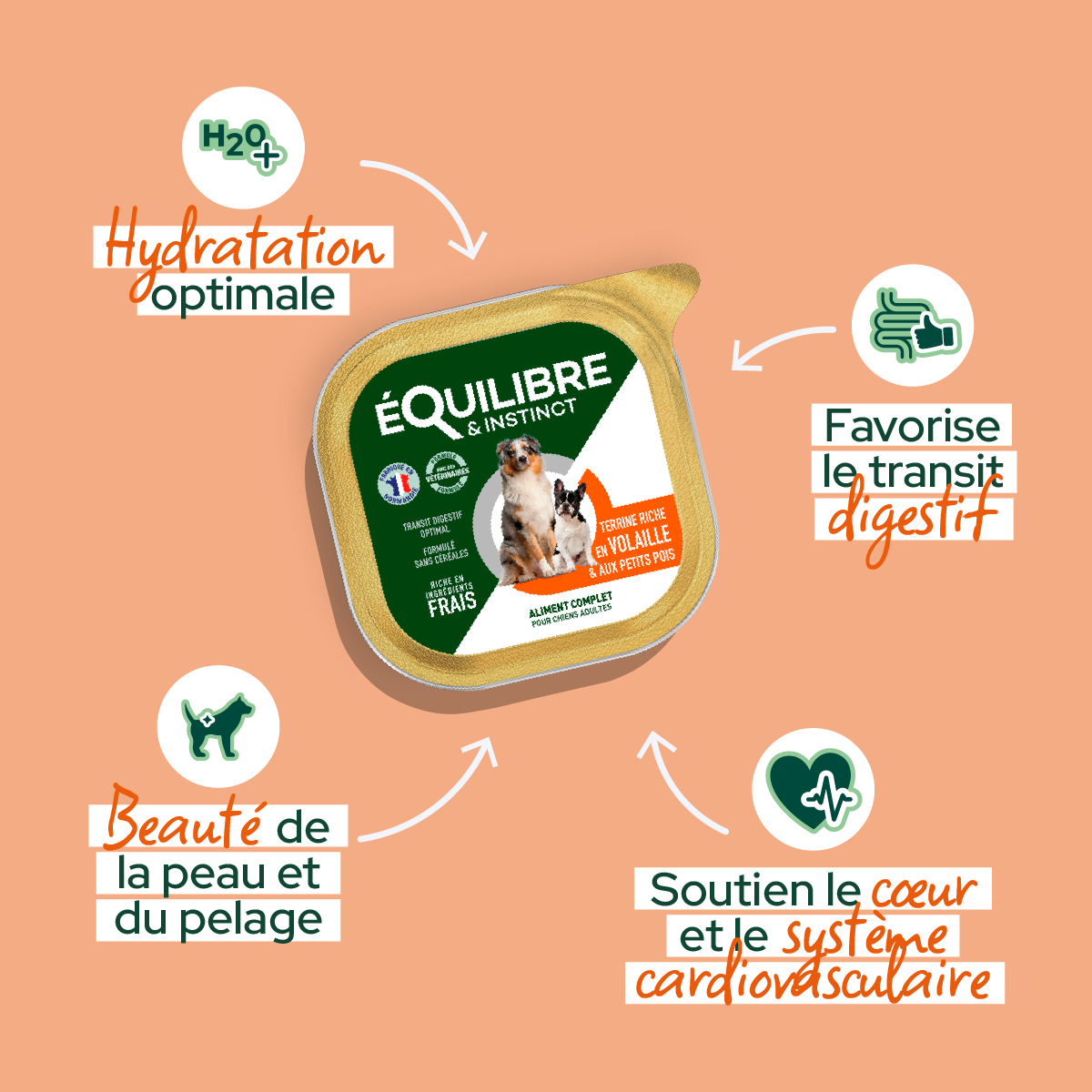 Patee_riche_en_volaille_pour_chien_2d15f4de-3e52-4ae3-a9fc-e130bae5175c