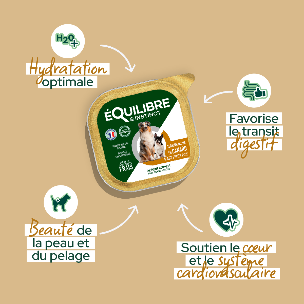 Patee_riche_en_canard_pour_chien_4b9b035a-789d-442d-83cb-0a5ad28f9986