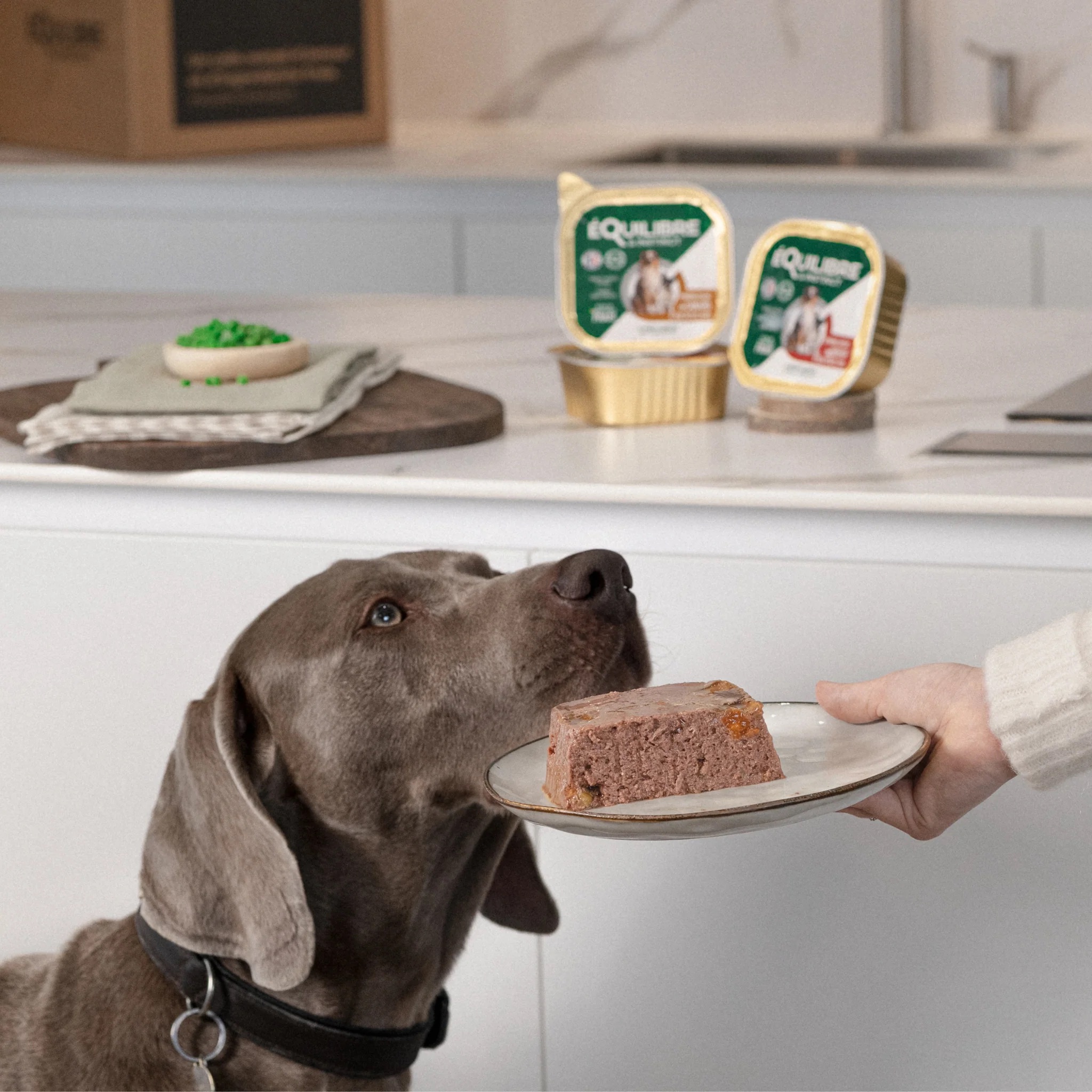 EQULIBREETINSTINCT_Achat_patees_chien_2_799982f0-9e0c-4fde-866a-c0c99318767f