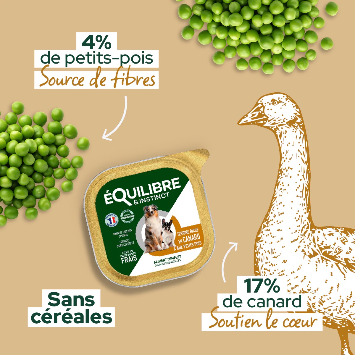 Pateericheencanardpourchien