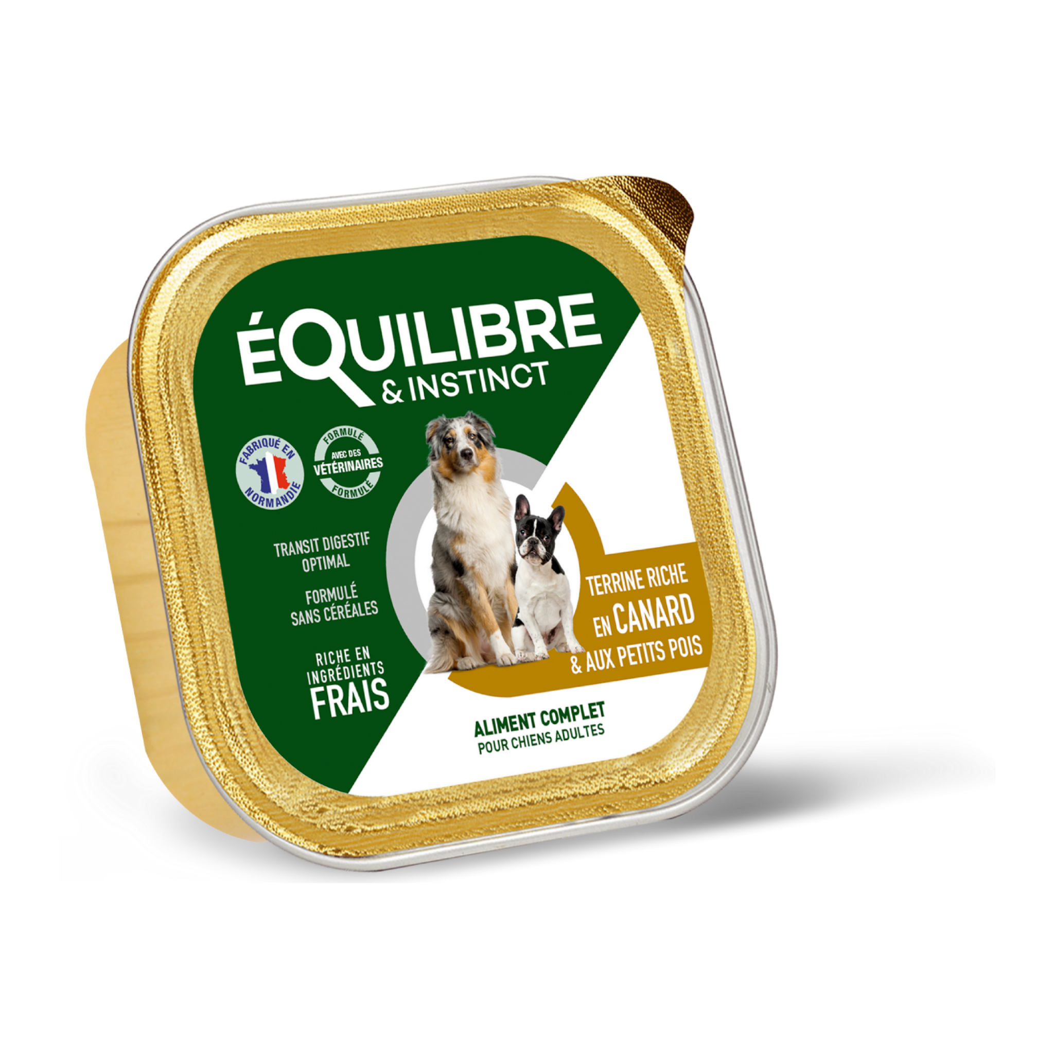 Facingbarquettesterrineschienadultecanard