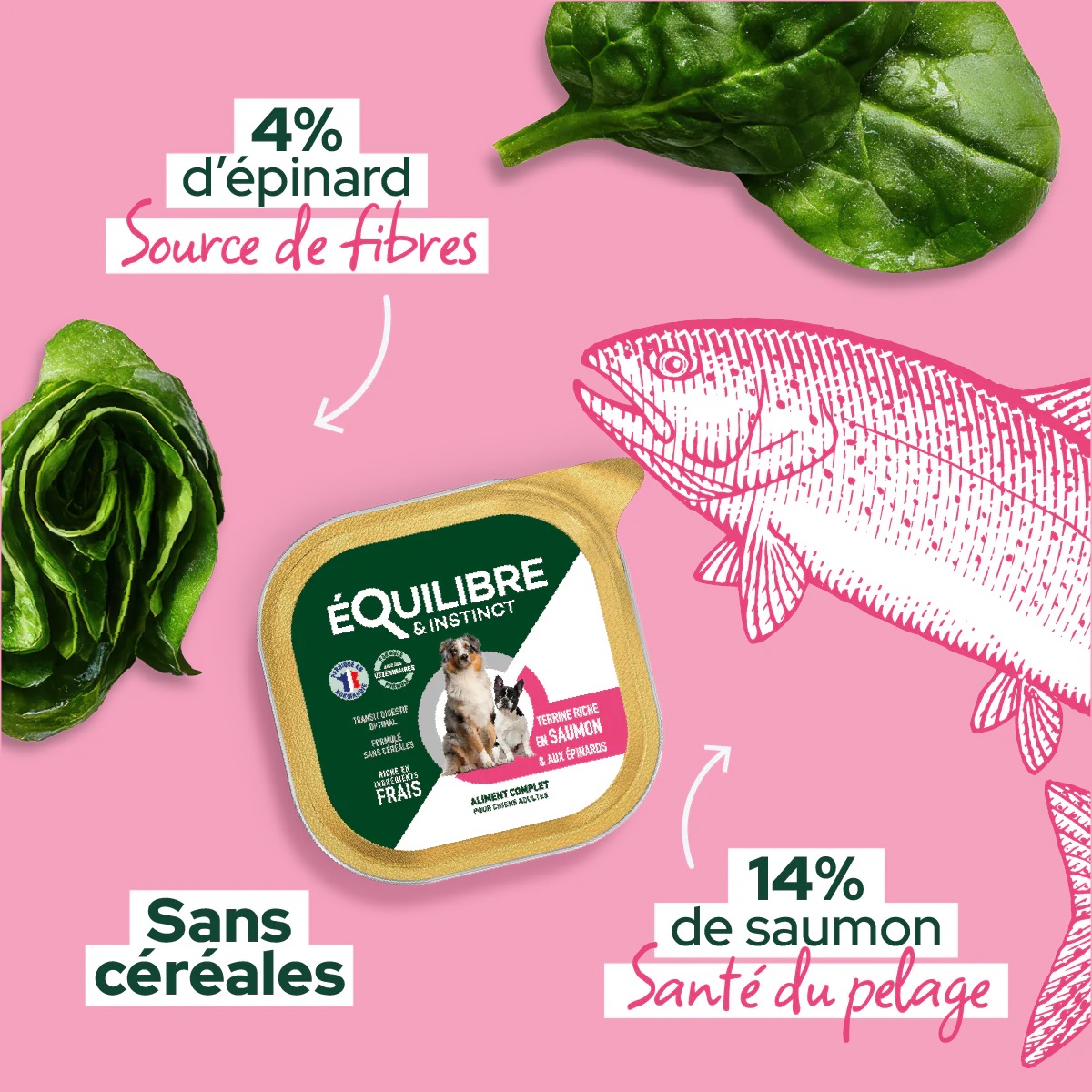 Pateesausaumonpourchien_6597c7e0-480f-4c38-a036-52452459f612