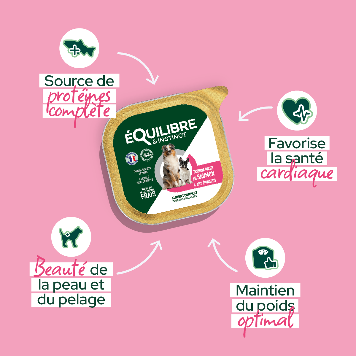 Pateesausaumonpourchien