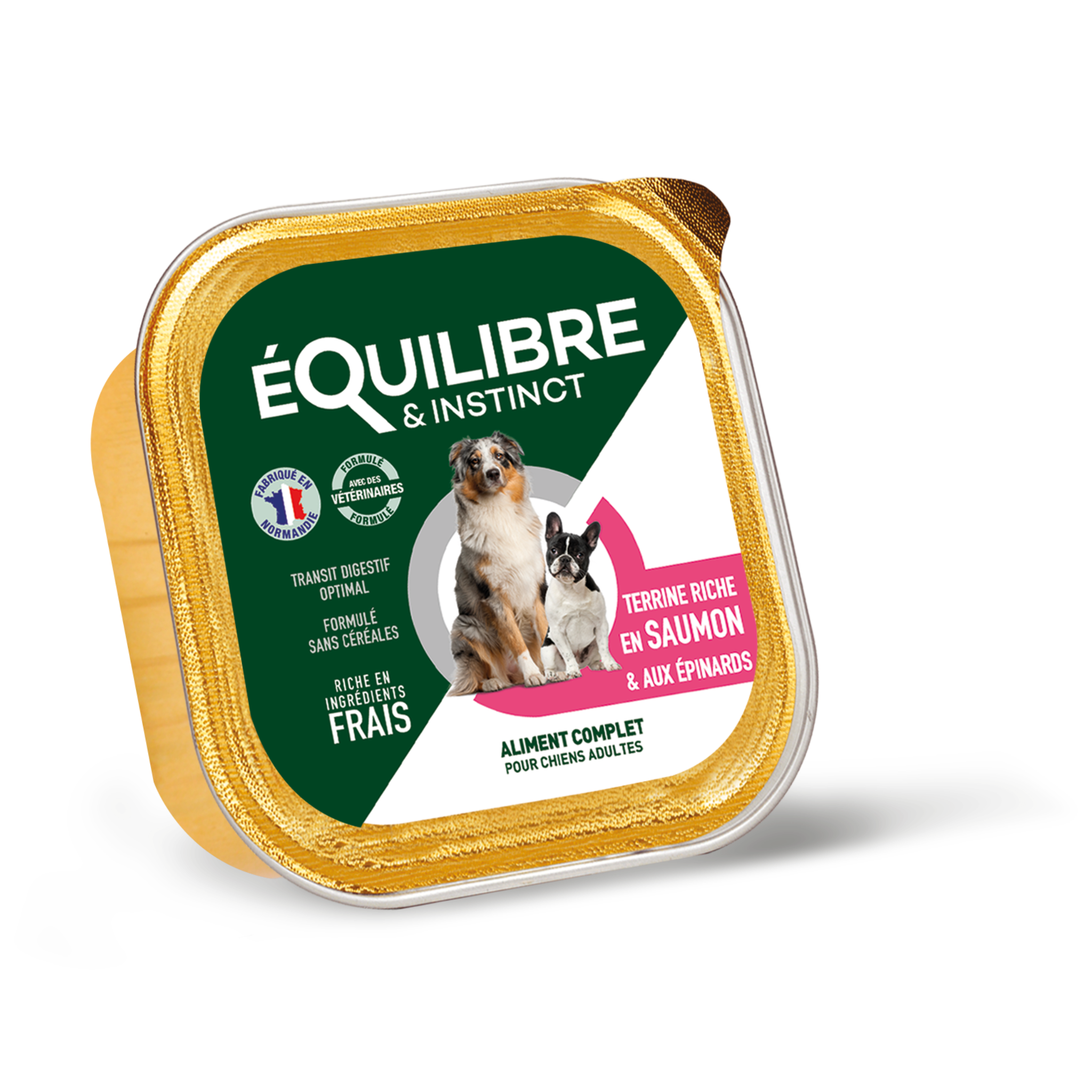 Facingbarquettesterrineschienadultesaumon_1