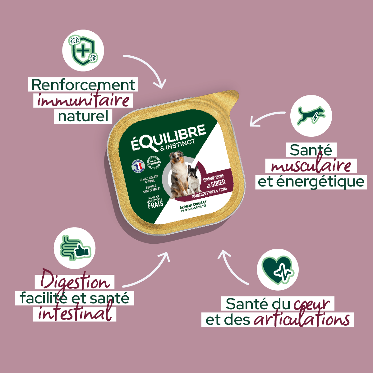 Patee_au_gibier_pour_chien_72a58204-0582-46c2-bc97-19c53945a086