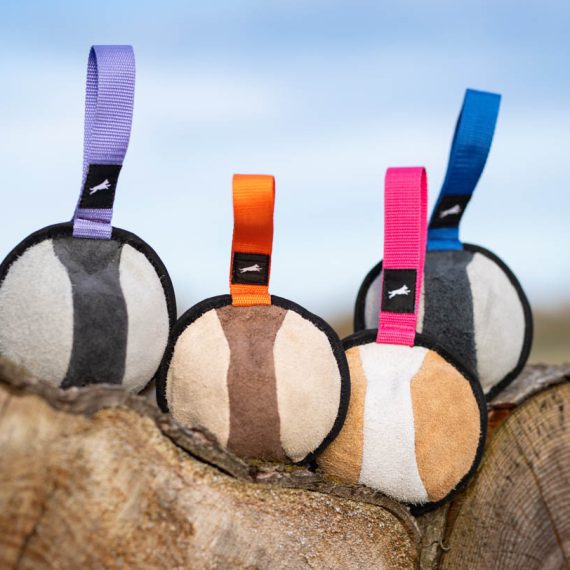 Sweetie-XL-balls-for-big-dogs-all-colours-570x570