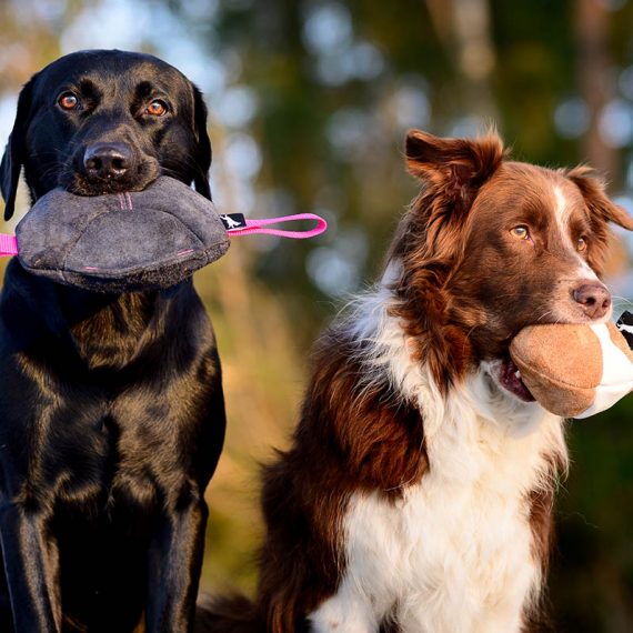 Toughie-suede-tug-toy-and-Chewie-suede-ball-dog-toys-570x570