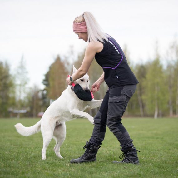Toughie-XL-pink-and-White-Shepherd-training-570x570