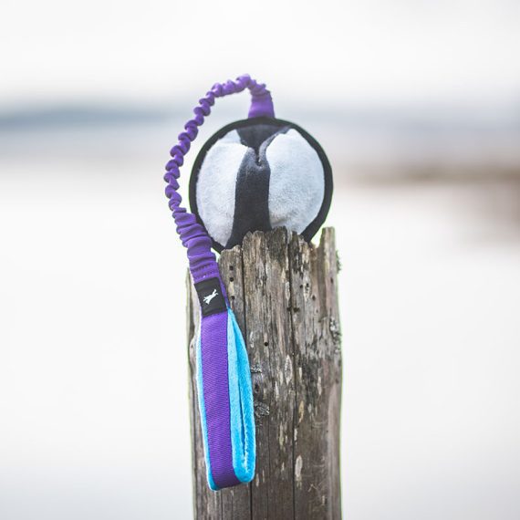 BungeeSweetie-lilac-XL-size-570x570