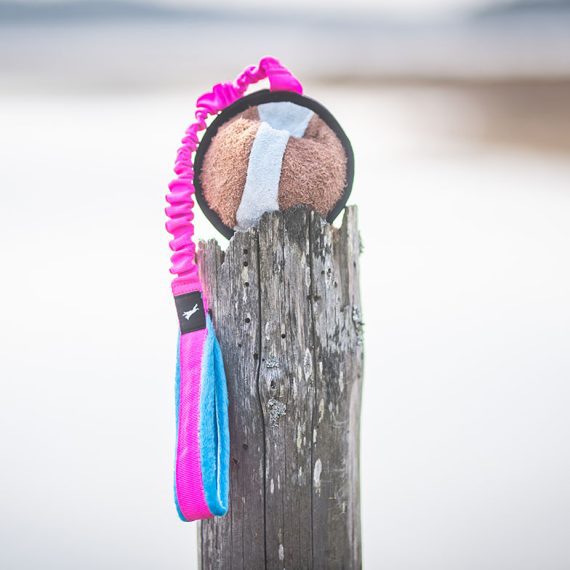 BungeeSweetie-pink-turquoise-XL-size-570x570