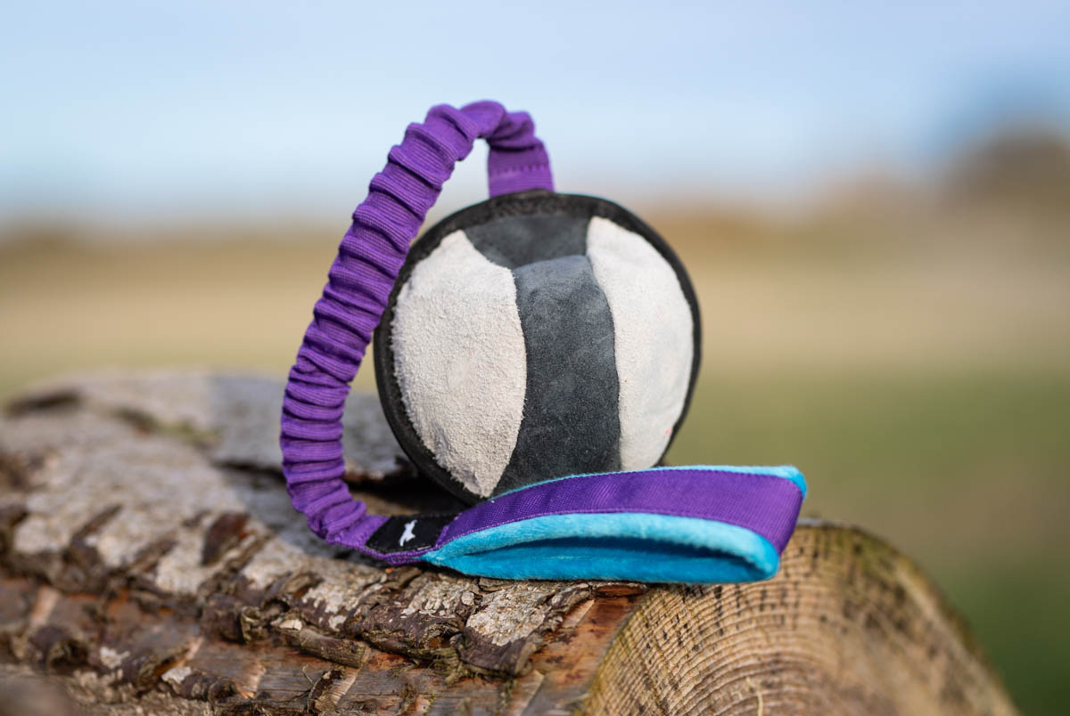 BungeeSweetie-XL-lilac-turquoise