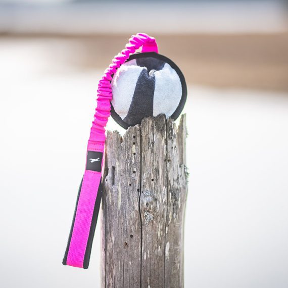 BungeeSweetie-pink-black-XL-size-570x570