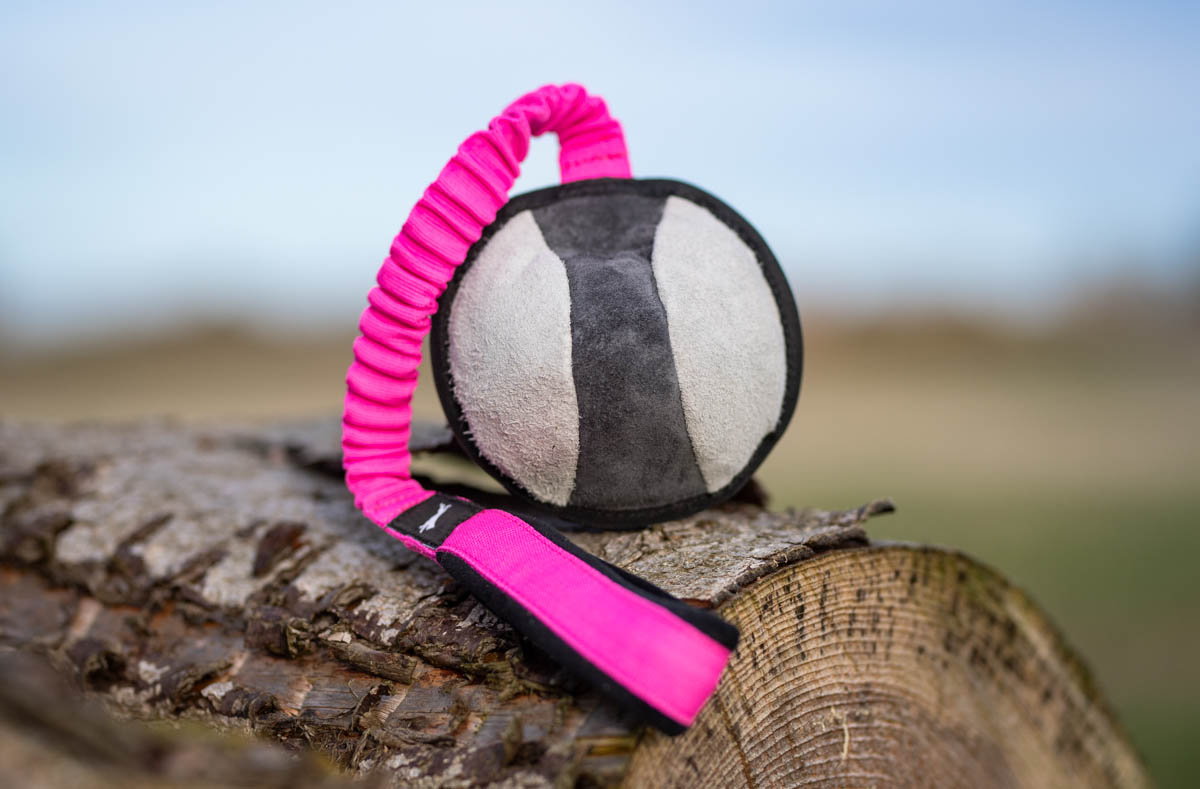 BungeeSweetie-XL-pink-black-closed