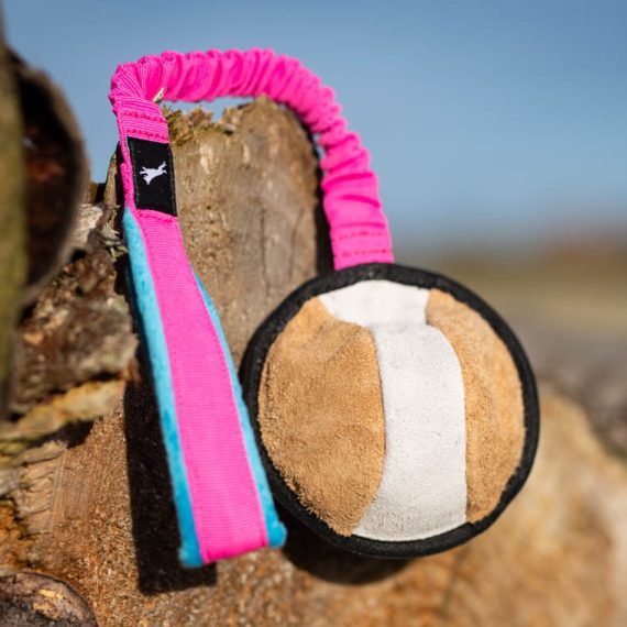 BungeeSweetie-XL-pink-turquoise-570x570
