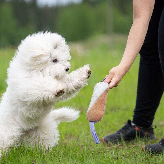 Cutie-tug-toy-lilac-with-puppy-570x570