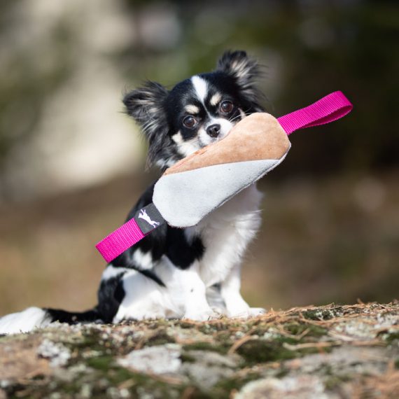 Cutie-tug-toys-pink-from-JoyOfDogSports-570x570