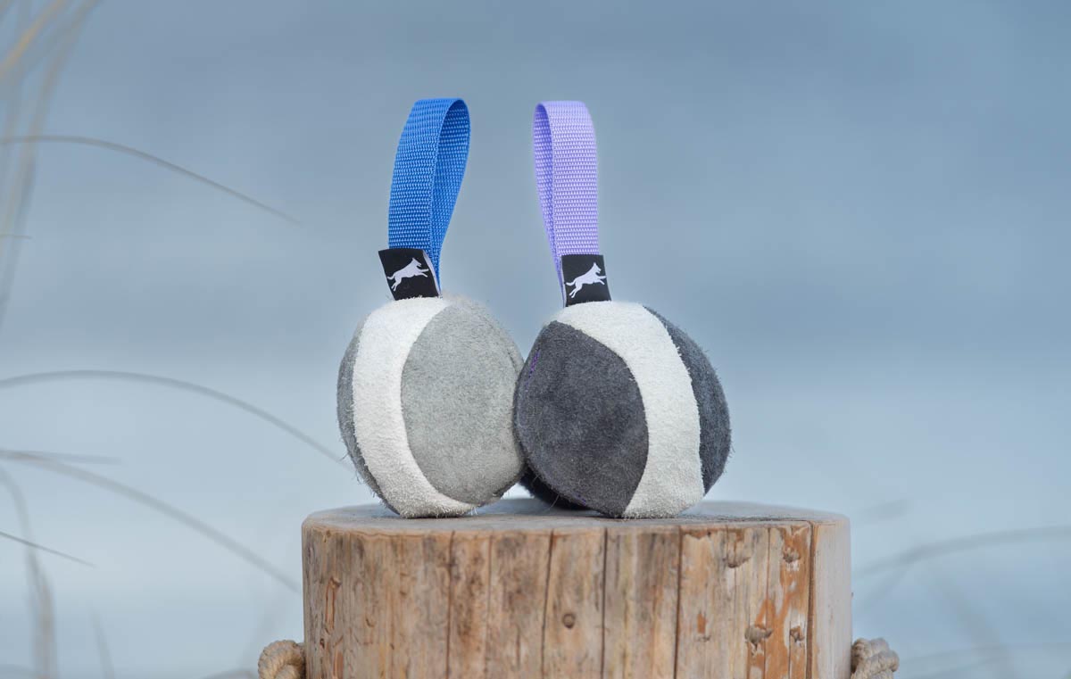 Chewie-suede-ball-for-dog-training-lilac-and-blue