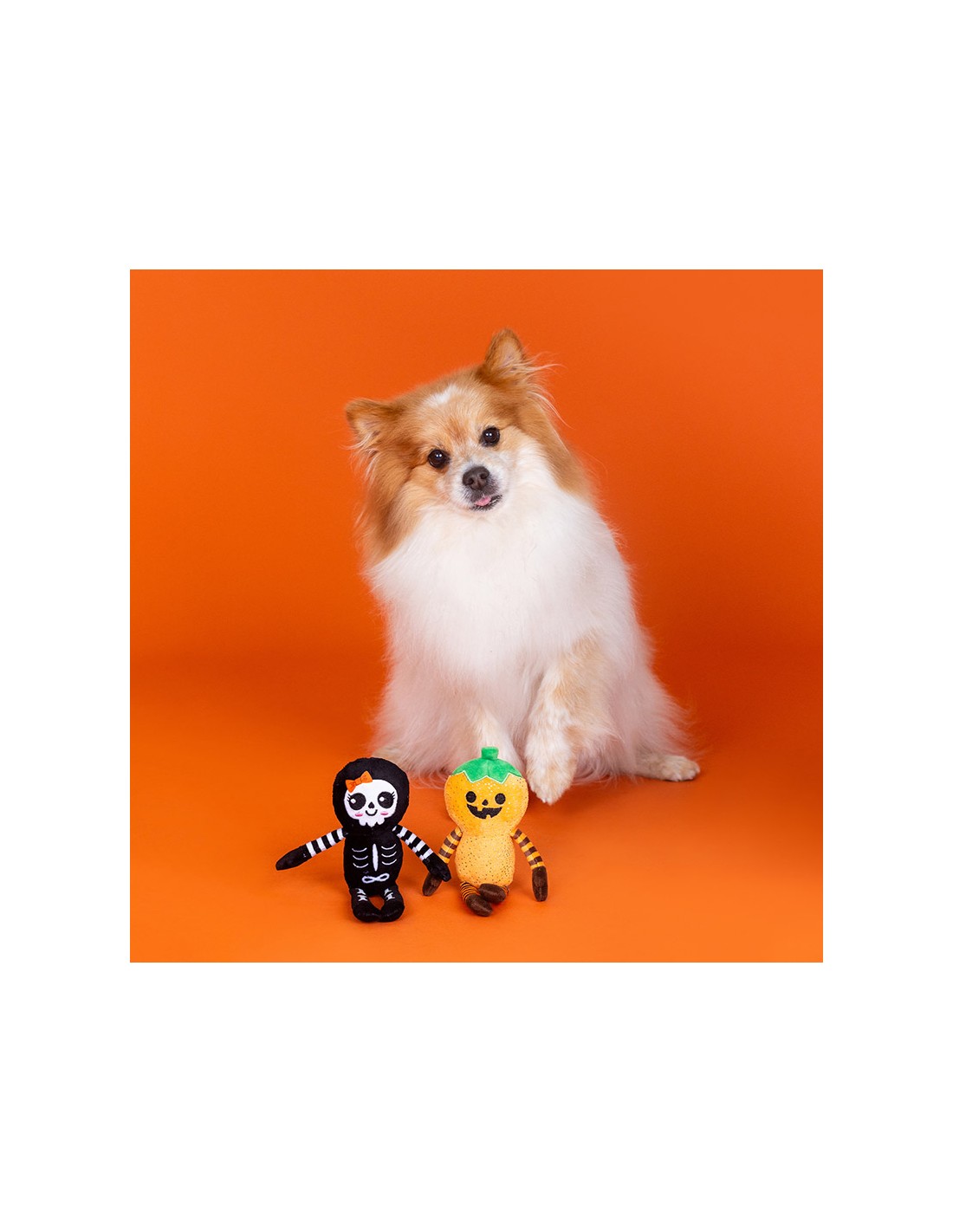 oh-my-gourd-6