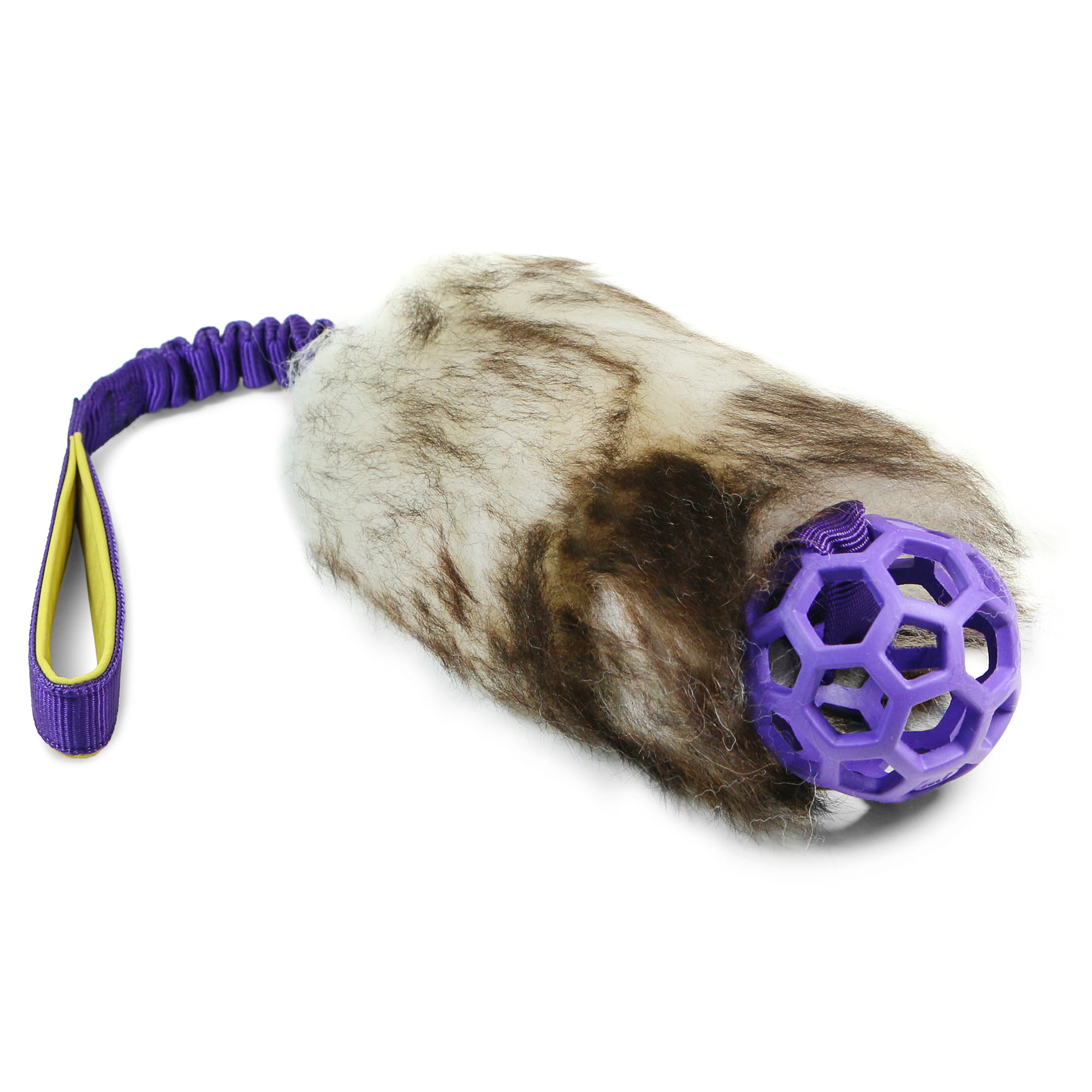 Sheep_16