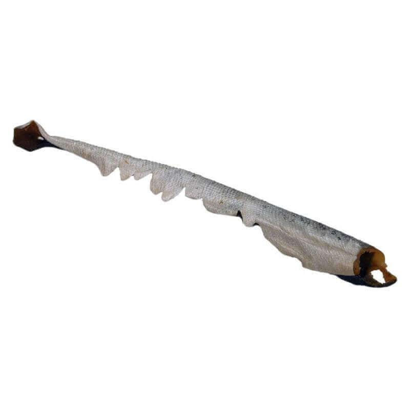 peau-de-saumon-avec-viande-60cm