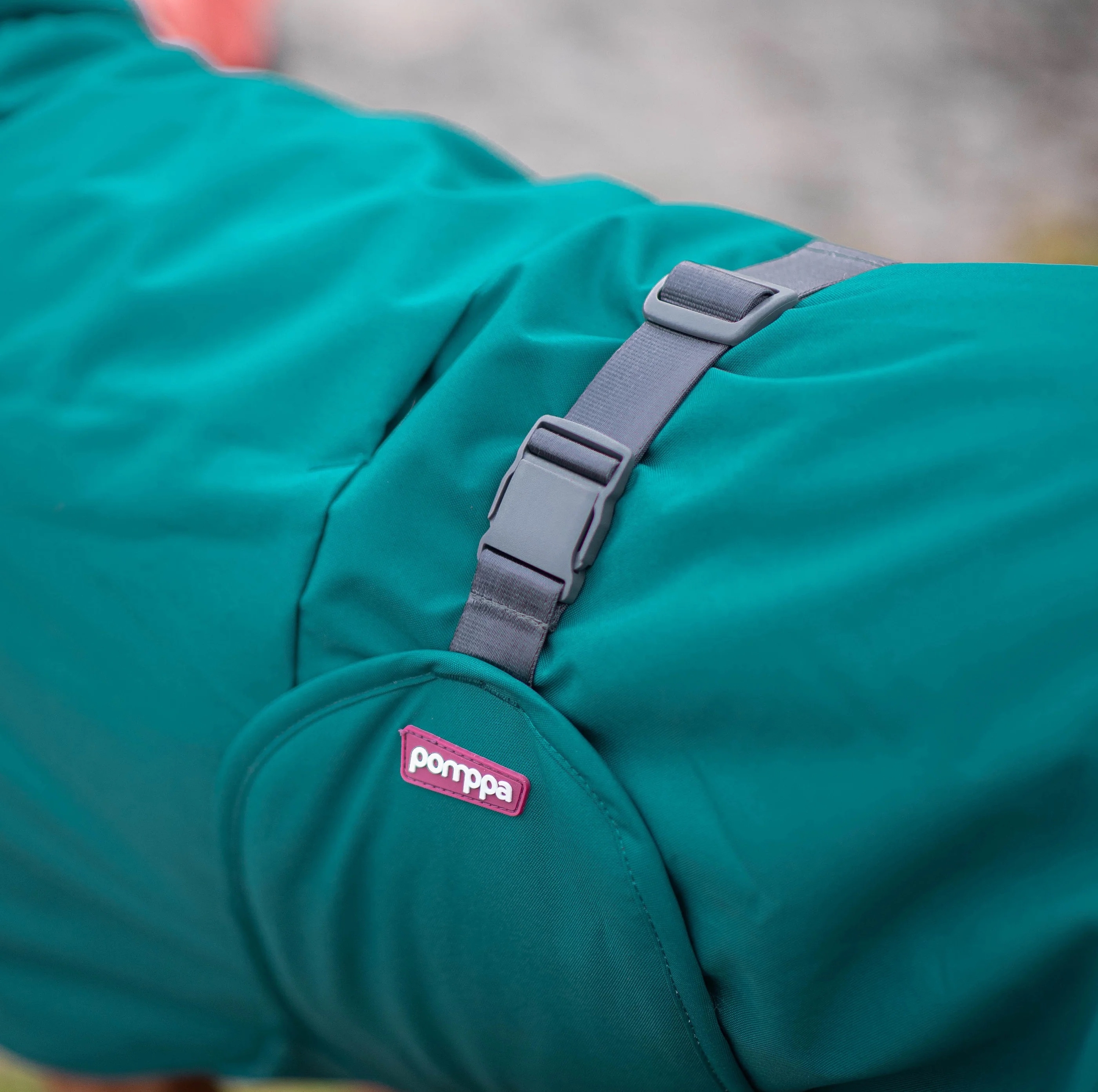 PerusPomppa_Forest5