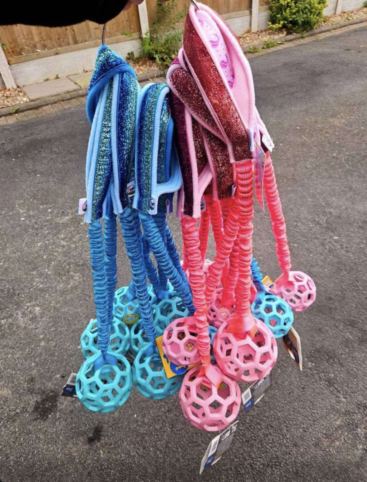 567524599_2029693384500305_6432140179688867326_n
