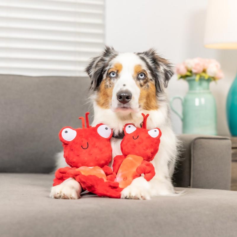 Claude-Lobster-1