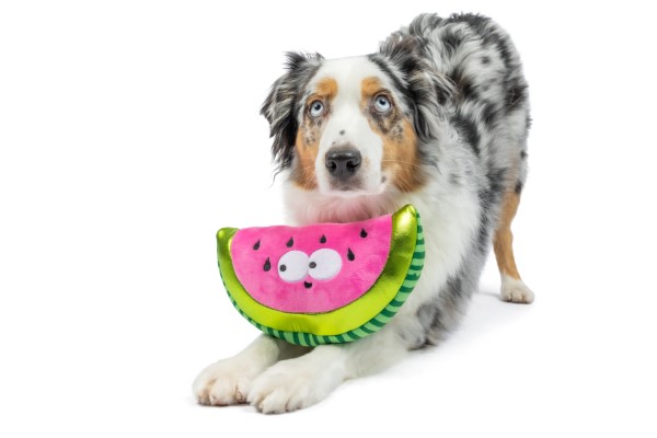 Walter-Melon-1