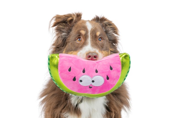 Walter-Melon-3