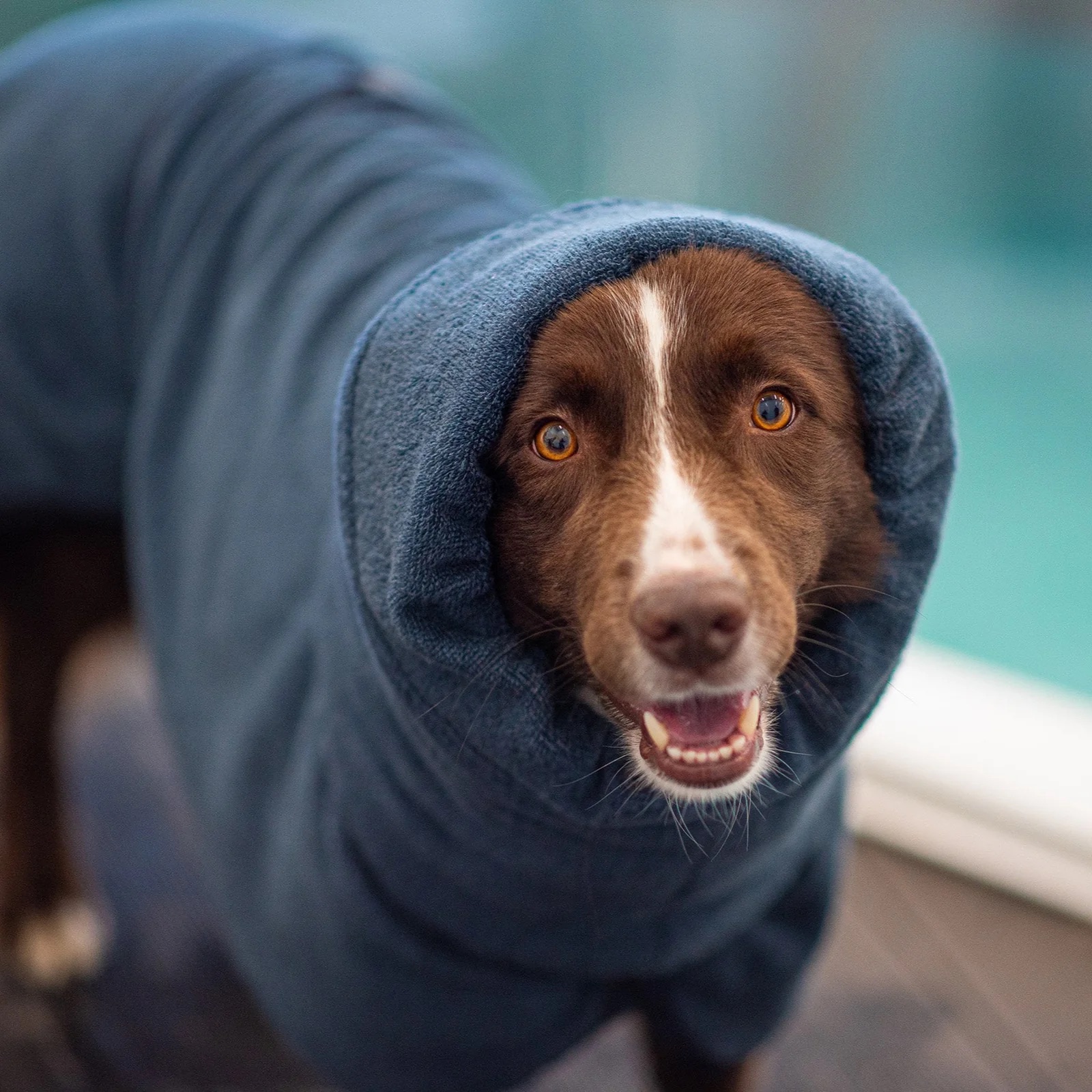 BathPomppa-Midnight-Hood