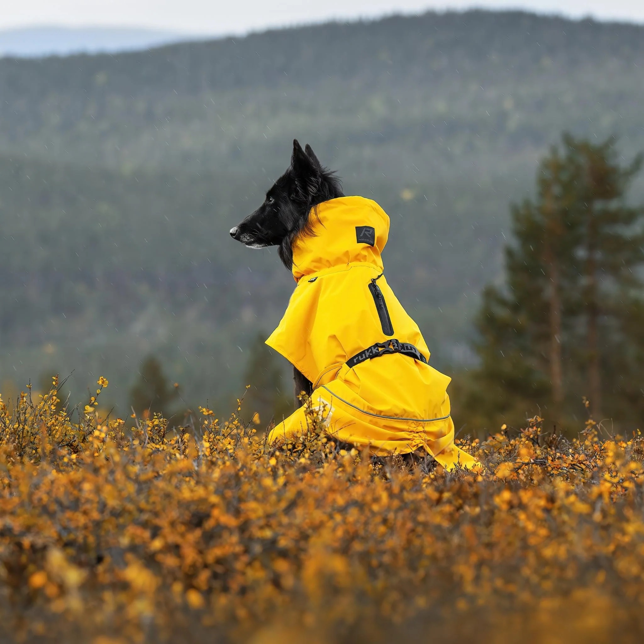 MANTEAU_RUKKA_JAUNE
