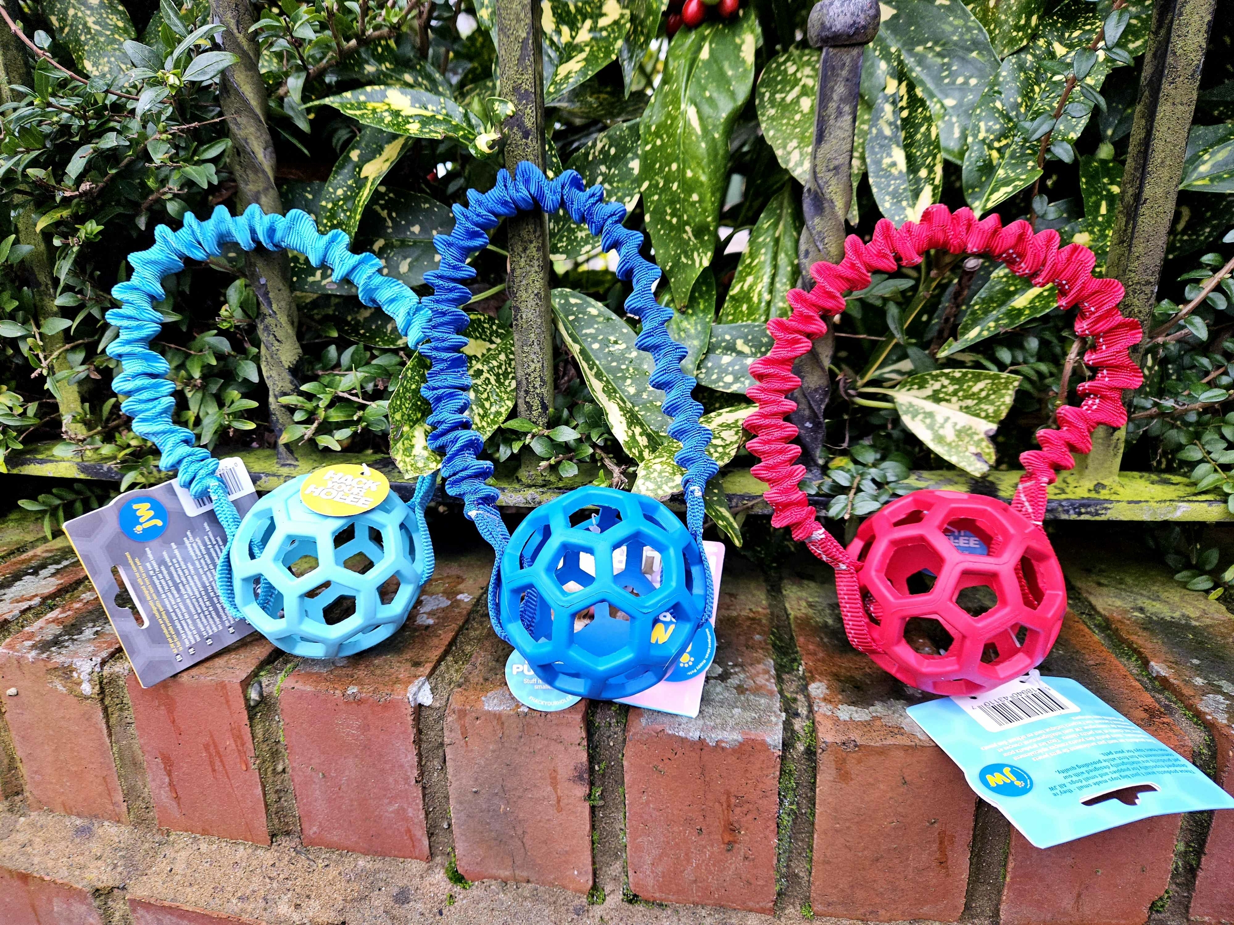 615804219_1625746685028393_7429947248994105437_n