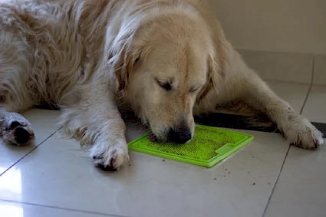 green_soother_2.0x425