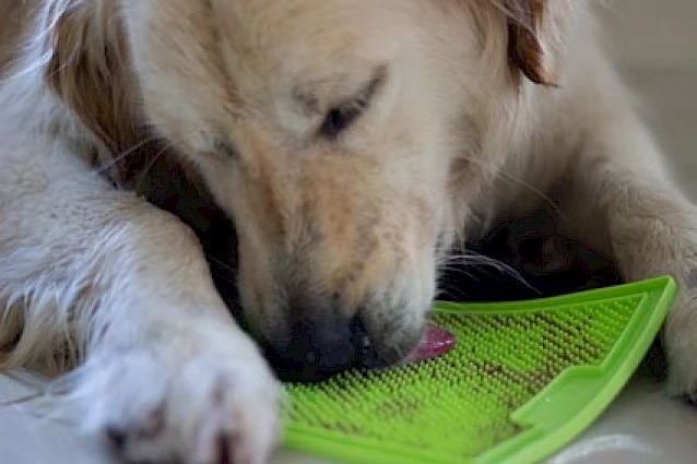 green_soother_5.0x425