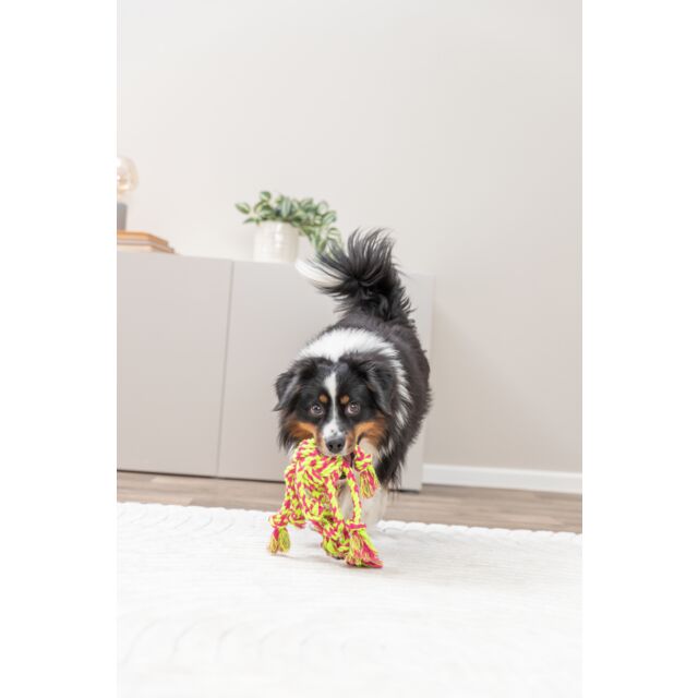 PHO_PRO_DOG_32650-9_#SALL_#AWK_#V1