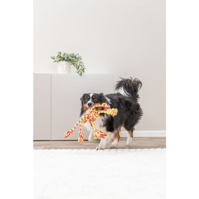 PHO_PRO_DOG_32650-10_#SALL_#AWK_#V1