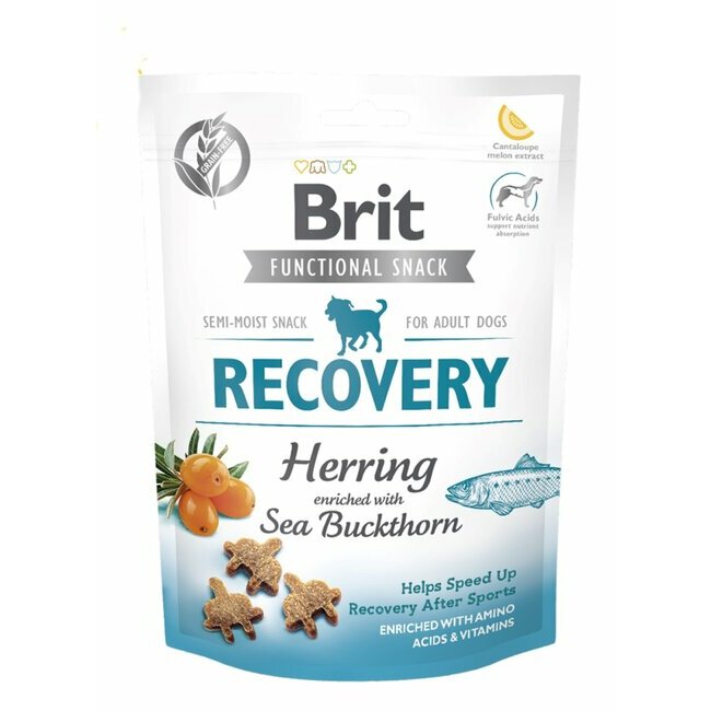 friandises-recovery-recuperation-150-g-par-brit