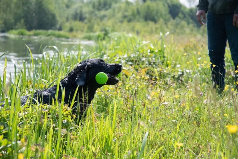 6632678-47f24af68ecbb6