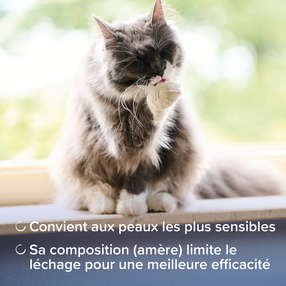 11702_ecommerce_DERMA_creme_FR_2025_3