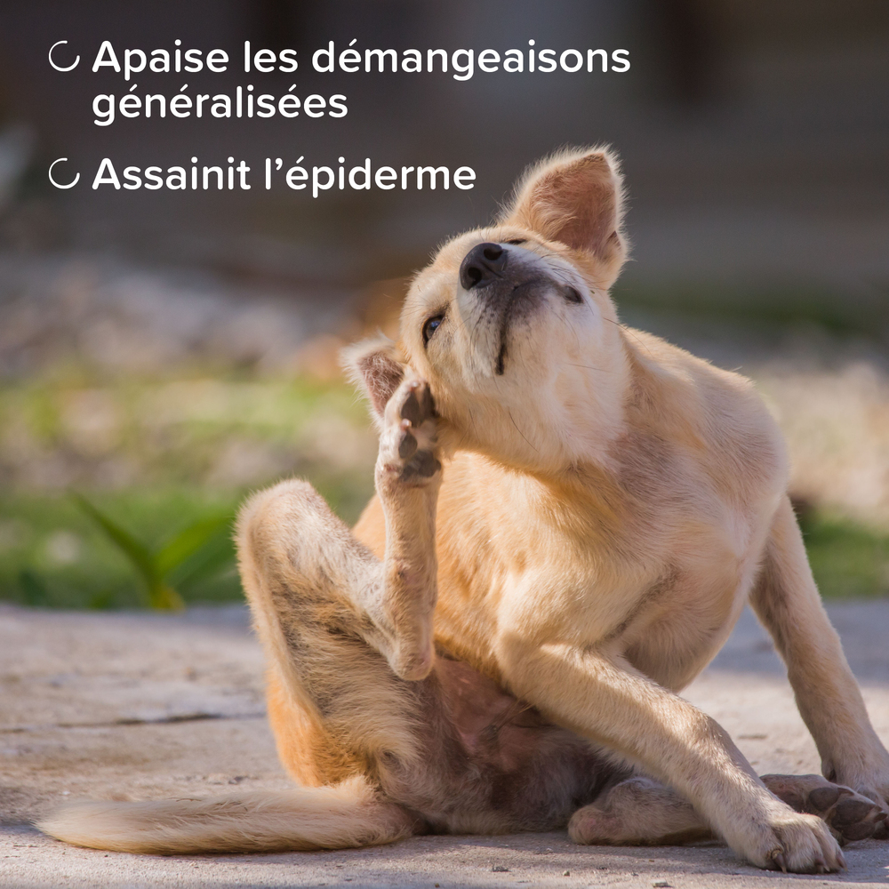 13771_ecommerce_DERMA_spray_apaisant_FR_2025_2