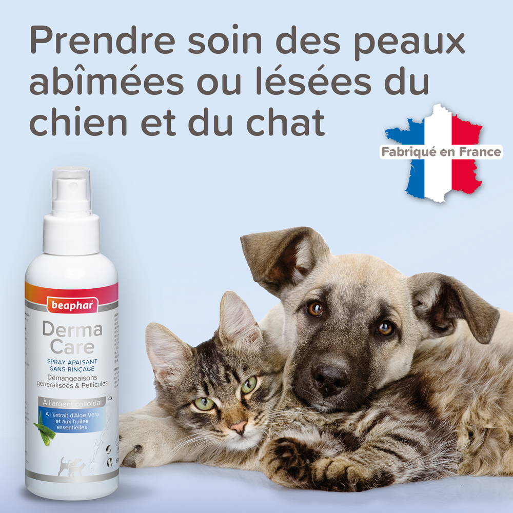 13771_ecommerce_DERMA_spray_apaisant_FR_2025_6