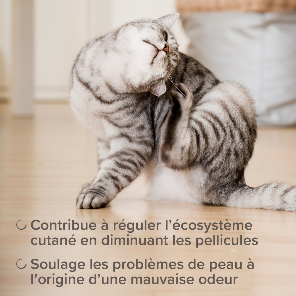 13771_ecommerce_DERMA_spray_apaisant_FR_2025_3