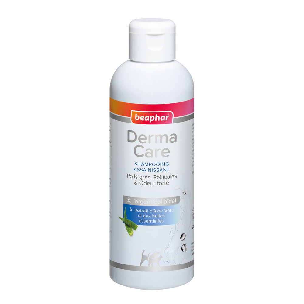11625_ecommerce_DERMA_shampoo_FR_2025_1