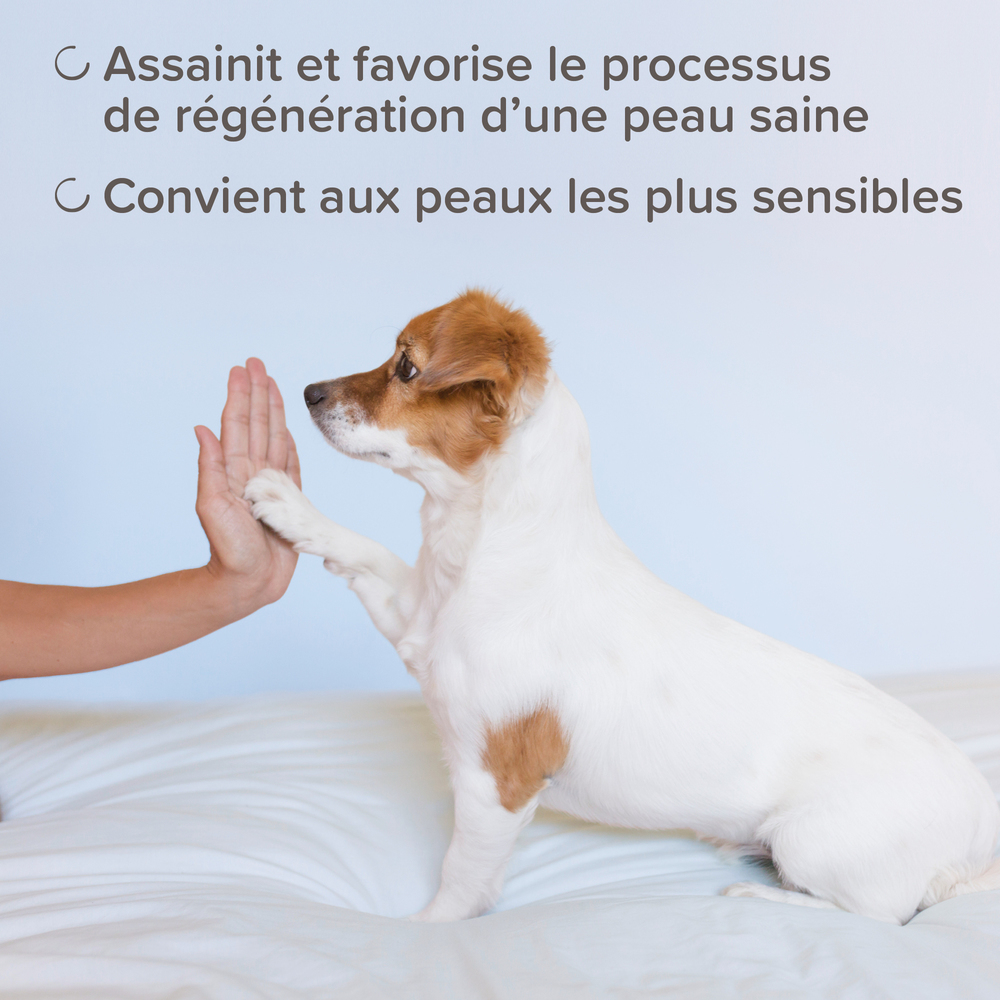 11625_ecommerce_DERMA_shampoo_FR_2025_2