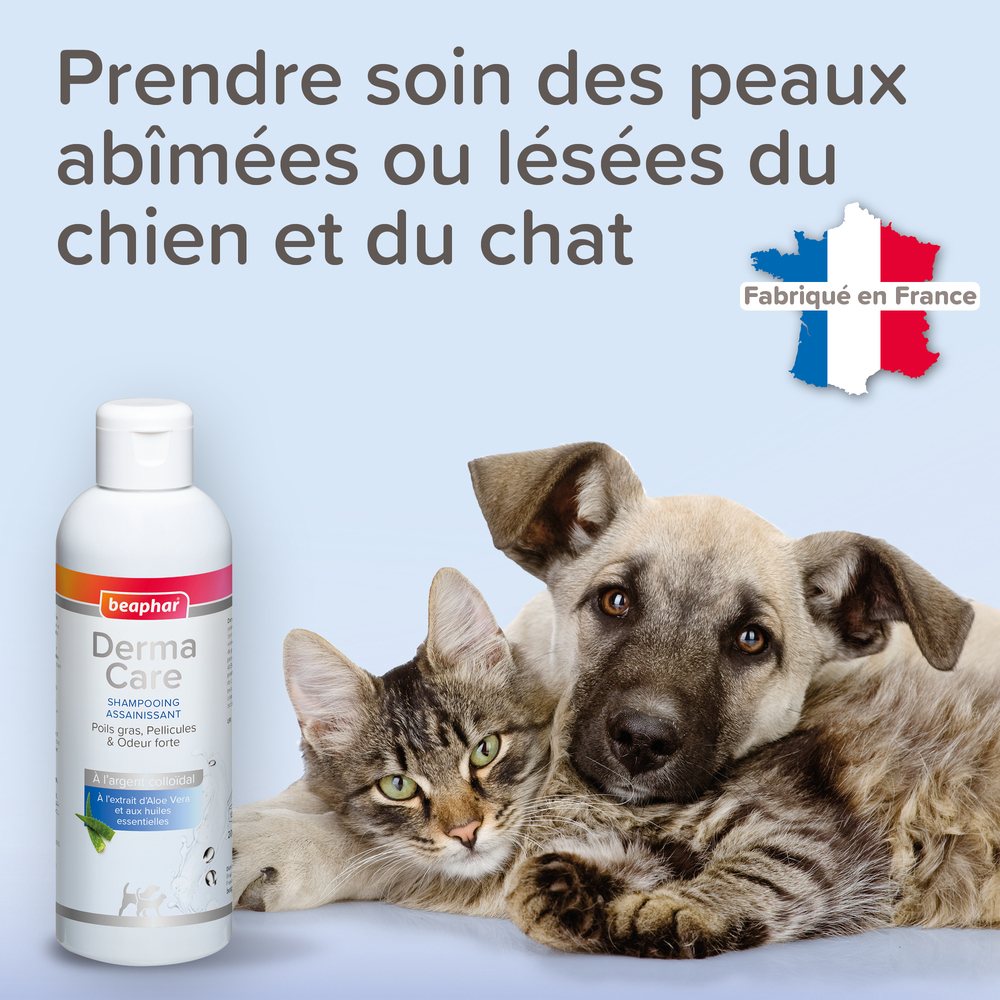 11625_ecommerce_DERMA_shampoo_FR_2025_6