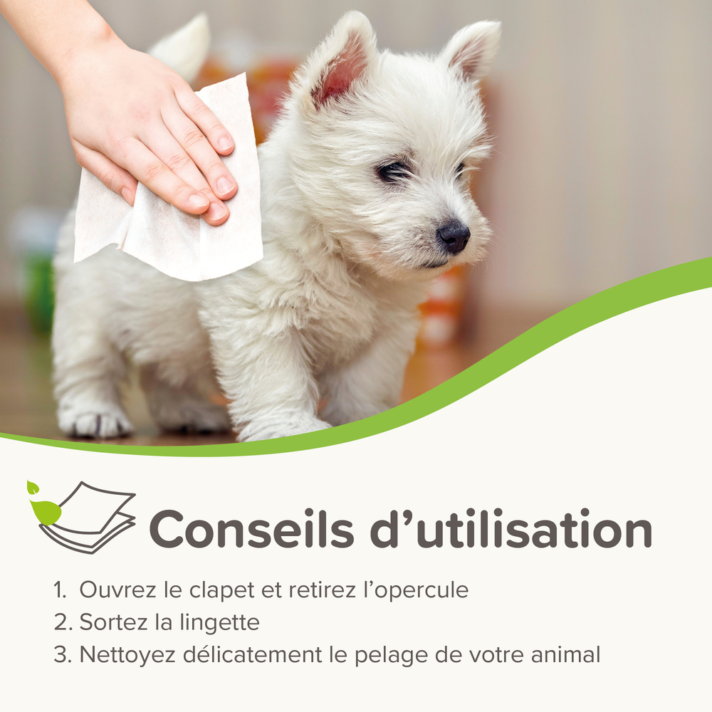 1000056_Ecommerce_BIO_Pet_Wipes_Sensitive_FR_2025_05